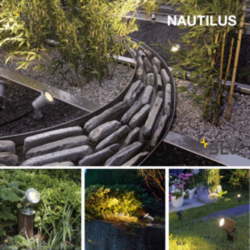 Nautilus