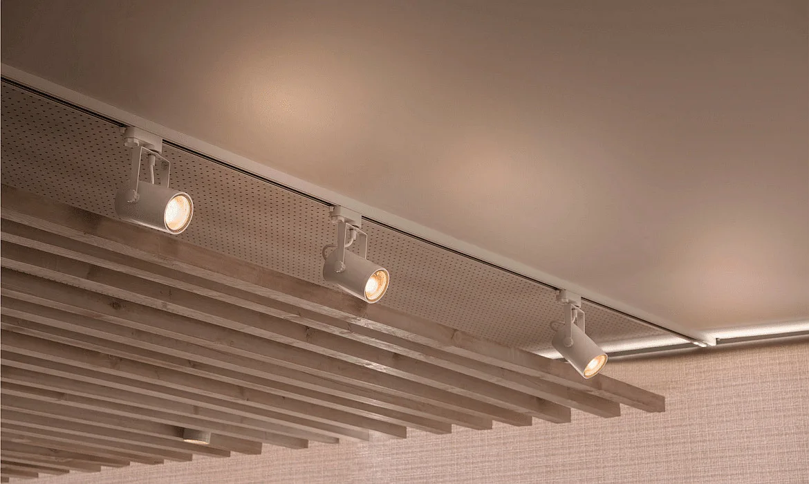 SLV Spotlight EURO SPOT GU10, incl. 3-Phase adapter, white SLV Spotlight EURO SPOT GU10, incl. 3-Phase adapter, white