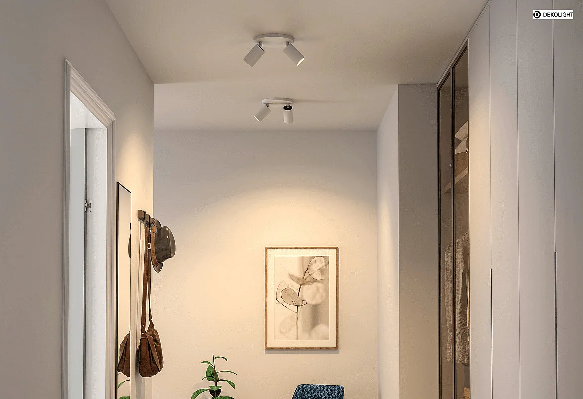 Deko-Light Loftlampe CAN TILT ROUND Ø 20CM 2-flammer, rund, kardanisk drejning GU10 IP20, hvid Deko-Light Loftlampe CAN TILT ROUND Ø 20CM 2-flammer, rund, kardanisk drejning GU10 IP20, hvid