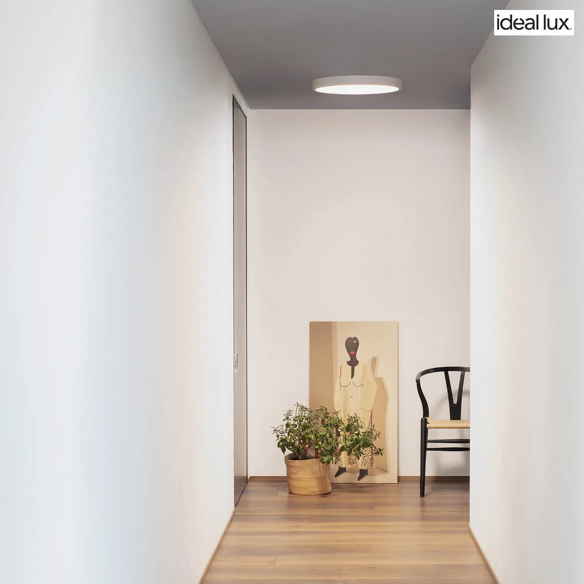 Ideal Lux Loftlampe RAY 40 IP44, hvid dæmpbar Ideal Lux Loftlampe RAY 40 IP44, hvid dæmpbar