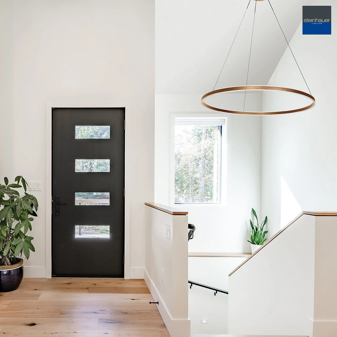 Steinhauer pendant luminaire RINGLUX up / down IP20, gold dimmable Steinhauer pendant luminaire RINGLUX up / down IP20, gold dimmable
