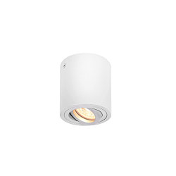 Loftlampe TRILEDO CL, GU10 QPAR51, 30� svinge, cylinder, hvid