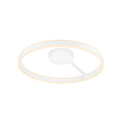 wall and ceiling luminaire ONE DALI �60CM up / down, DALI controllable, CCT Switch, ring shape IP20, white dimmable