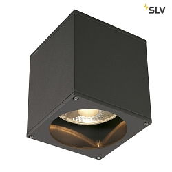 Wall luminaire BIG THEO CEILING OUT, ES111, max. 75W, anthracite