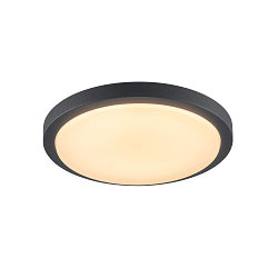 AINOS, Udend�rs-/Loftlampe, LED, 3000K, rund, antracit, med sensor