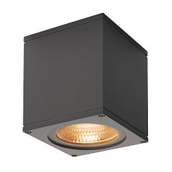 BIG THEO CEILING, Udend�rs-/Loftlampe, LED, 3000K, antracit