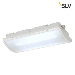 LED Emergency Light P-LIGHT AREAL LED, 2xLED, 6000K, white