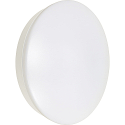 ceiling luminaire ECOTECH BULKHEAD with sensor, CCT Switch IP54, white matt 