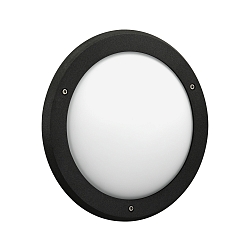 Udend�rs wall luminaire TYPE NO 6419 IP44, opal, sort d�mpbar
