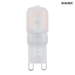Blulaxa LED Pin socket lamp, G9, 2.2W 3000K 190lm 290, opal
