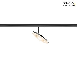 2-phase spot EUCLID SPOT 80 ALL-IN IP20, black, lacquered dimmable