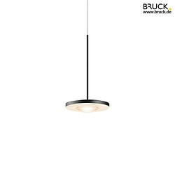 2-phase pendant luminaire EUCLID ALL-IN IP20, black, lacquered dimmable