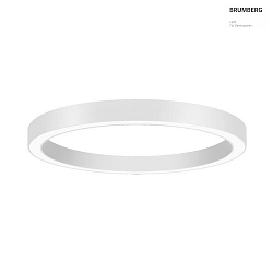 ceiling luminaire BIRO CIRCLE  75/10CM DALI controllable, tunable white, direct LED IP20, white dimmable