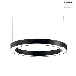 pendant luminaire direct, indirect IP40, opal, black dimmable