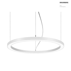 pendant luminaire BIRO CIRCLE round LED IP20, silver dimmable