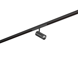 Skinne spot PEPA RONDO 25�-55� / 8W cylindrisk, DALI styrbar, fokuserbar IP20, sort mat d�mpbar