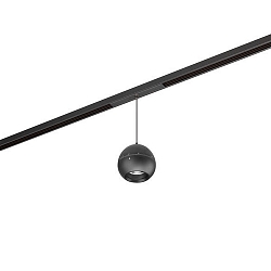 Skinne pendul PEPA BALL 15�-55� down, DALI styrbar, fokuserbar IP20, sort mat d�mpbar
