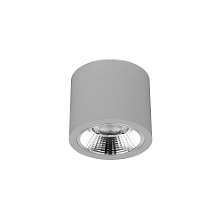 Downlight APOLLO MAXI rund, DALI styrbar, facetteret IP20, pulverlakeret, s�lv d�mpbar