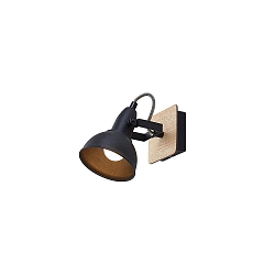 V�g- og Loftlampe DACTYL 1-flamme, justerbar E14 IP20, tr� lys, sort mat d�mpbar