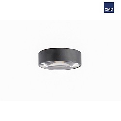 wall and ceiling luminaire 9038 IP65, anthracite, powder coated