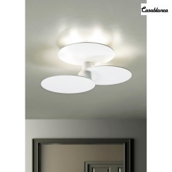 ceiling luminaire TREVO IP20, white dimmable