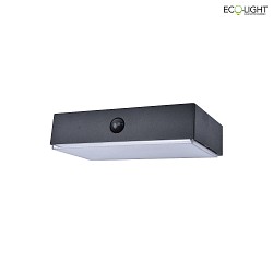 solar wall luminaire FADI with motion detector, app control IP54, black dimmable