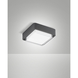Udend�rs loftlampe DIUK IP65, m�rkegr�