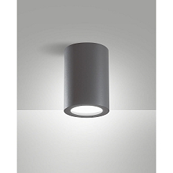 Udend�rs loftlampe MANU E27 IP54, m�rkegr�