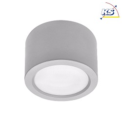LED Downlight, 10W, 4000K, 1500lm, IP65, DALI dimmable, silver