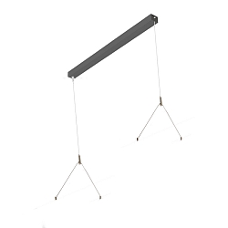 canopy FL-PLN242063MPS.8584L DALI controllable, incl. LED driver, black