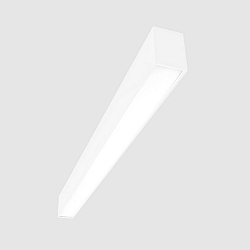light bar MICROPAL�, UGR<19 / 1127MM / 830 surface-mounted version, DALI controllable, direct IP40, white 