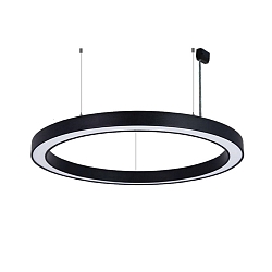 pendant luminaire � 98CM DALI controllable, CCT Switch, direct, UGR < 19, ring shape IP40, black dimmable