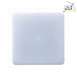 LED Outdoor Wall / Ceiling luminaire PRONTO, IP54, 33x33cm, SQUARE, 24W 3000K 2160lm