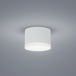 LED Loftlampe PALA LED Lampe til bad, IP30, hvid matt