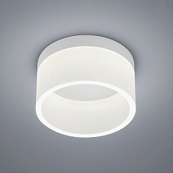 LED Loftlampe LIV 20 LED Lampe til bad, IP30, hvid matt