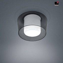 Ceiling luminaire CANIO, E27, IP30, white matt / glass grey