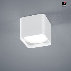 LED Ceiling luminaire DORA LED, square, IP20, white matt
