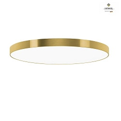LED ceiling luminaire AURELIA X,  78cm, 48W 2700K 5500lm, dimmable, brushed gold / white