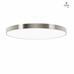 LED ceiling luminaire AURELIA X,  78cm, 48W 3000K 5500lm, dimmable, brushed silver / white