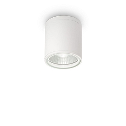 Udend�rslampe GUN PL1 Loftlampe, 1-flamme, GU10, 28W, hvid