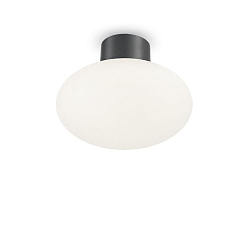 Udend�rs loftlampe CLIO uden sk�rm E27 IP44, antracit