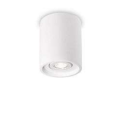 Ceiling luminaire OAK ROUND, IP20, Ø 13.5cm, GU10, pivotable