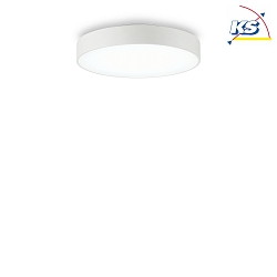 LED ceiling luminaire HALO, direct-indirect, IP20,  35cm, 25W 3000K 2200lm
