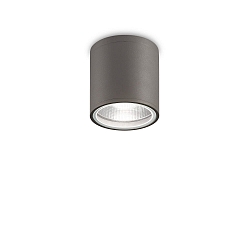 Udend�rs loftlampe GUN PL1 cylindrisk, overflademonteret version GU10 IP44, antracit d�mpbar