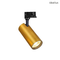 3-phase spot FOX LED with adapter LED IP20, brass