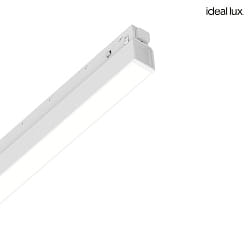 linear luminaire EGO WIDE LED IP20, white dimmable 13W 1650lm 3000K 110 110 CRI >90 56cm