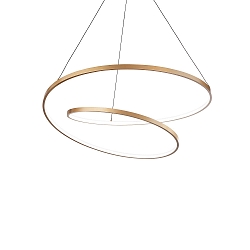 pendant luminaire OZ D60 DALI/PUSH round, DALI controllable IP20, brushed brass dimmable