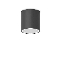 outdoor ceiling luminaire TECHO D09 round GU10 IP54, black 