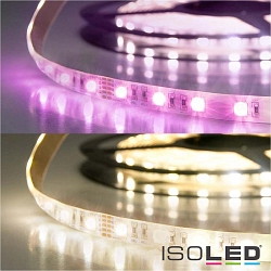 LED SIL RGB+WW Flex strip, 24V, 19W, IP20, 4in1 chip