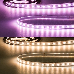 LED Strip AQUA RGB+WW Flexband